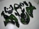 Negro Verde Llama Carenado Moto Kawasaki ZX10R 2006-2007